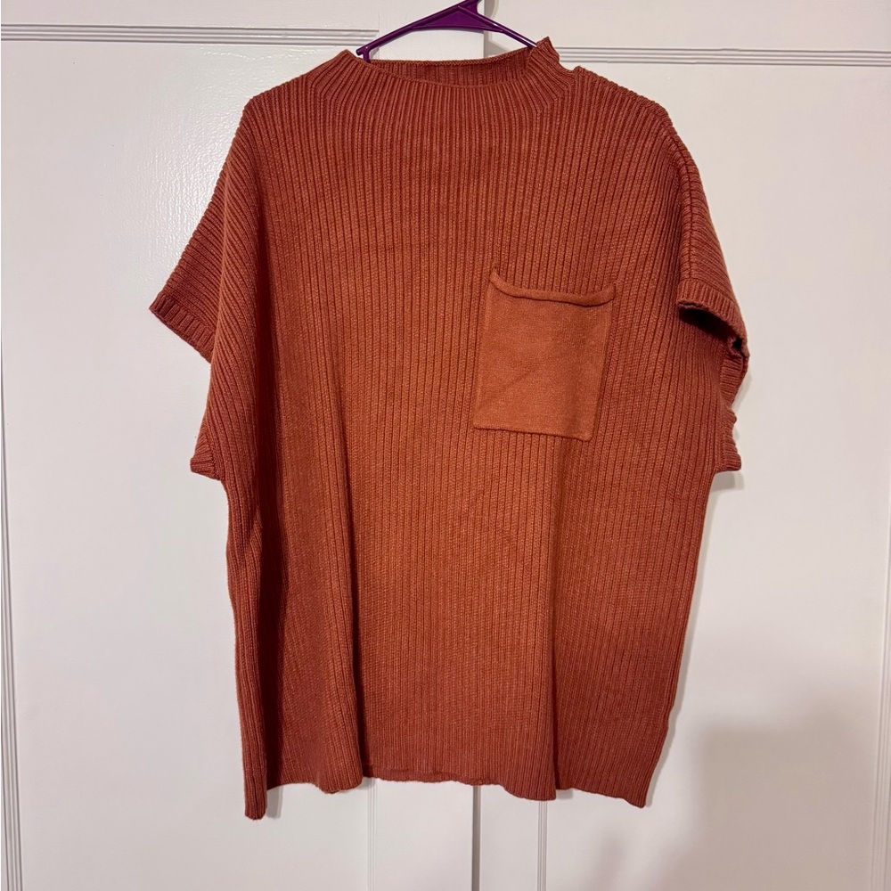 entro Ribbed Sweater in Rust